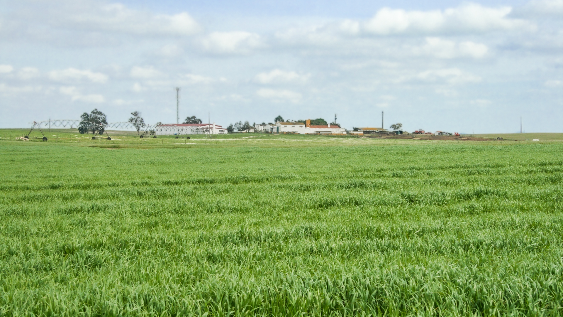 Enorme propriedade agrícola equestre perto de Aljustrel, Alentejo | AT2161 Esta propriedade agrícola equestre está situada num enorme terreno totalmente vedado perto da cidade de Aljustrel, na província do Alentejo. Combina a natureza com o amor pelos animais.
A propriedade dispõe de uma casa para o proprietário, casa de caseiro, bem como boxes para cavalos, paddocks, estábulos, picadeiro interior e exterior, arrecadações, garagem para tractores, máquinas agrícolas e vários anexos. Necessita de algumas remodelações, principalmente cosméticas. 