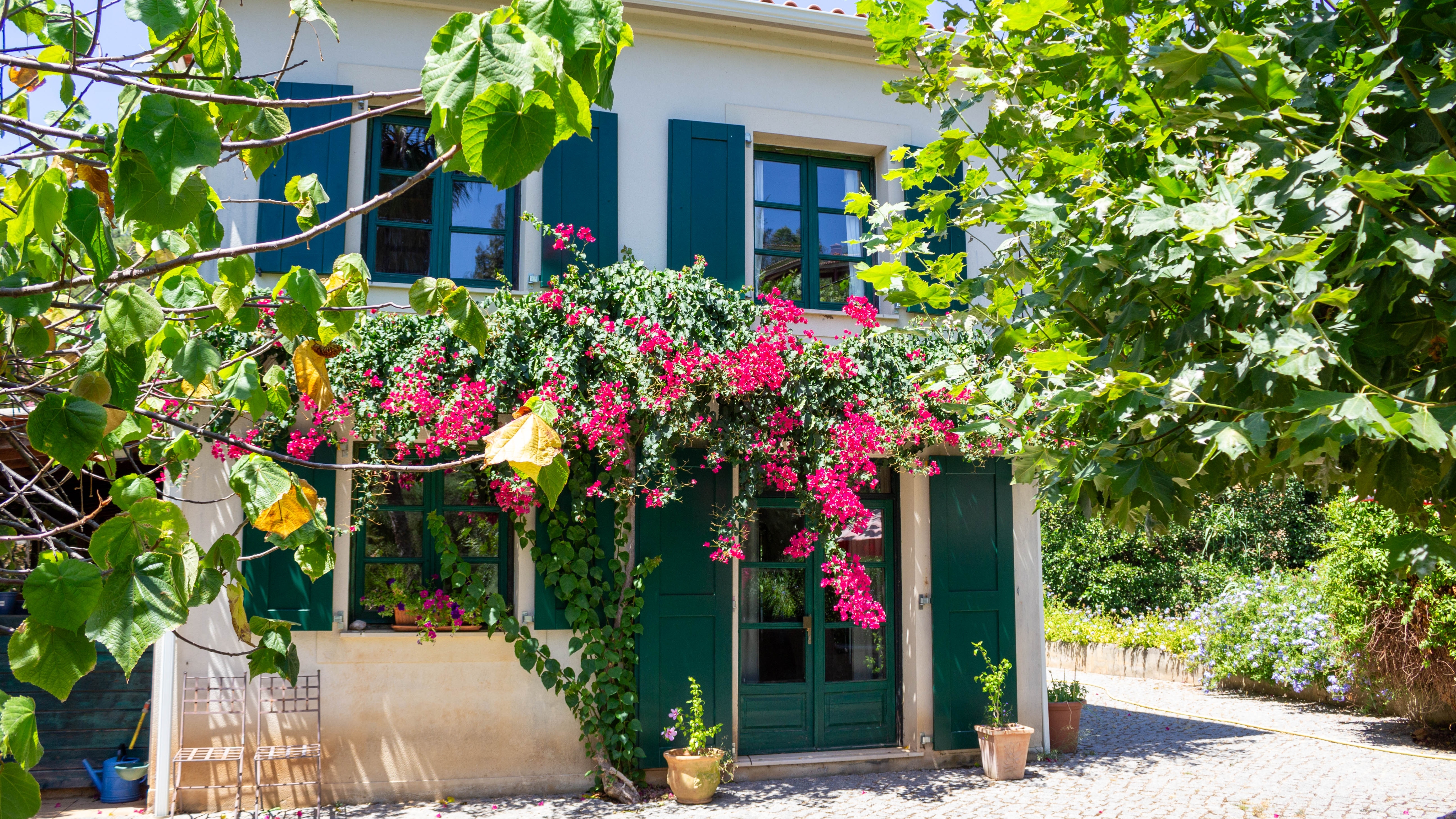 Belle villa de campagne de 4 chambres, dans une position élevée à flanc de colline, près de Caldas de Monchique | LG2264 Cette maison de campagne de 4 chambres et 2 étages se trouve sur un terrain surélevé à seulement 5 minutes de la célèbre ville thermale de Caldas de Monchique. Elle est idéale pour les amoureux de la nature et ceux qui recherchent une maison familiale permanente ou une maison de vacances dans les magnifiques collines de l'Algarve.