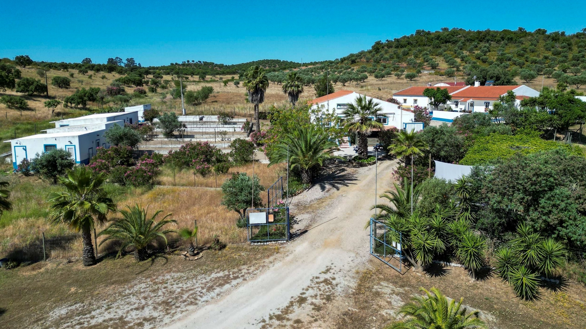 Farm mit Restaurant und 21 ha Land in der Nähe des Stausee in Alqueva, im Distrikt Évora, Alentejo | PDBED040 Diese Immobilie liegt ca. 6km vom Deich des grössten, künstlich angelegten Stausee in Europa entfernt, bei Alqueva.  Hier wurden früher Strausse gezüchtet. Die Farm besteht aus einem Wohnhaus, einem Restaurant mit Innen,- und Aussenplätzen, landwirtschaftlichen Gebäuden, Lagerhalle. Die Nutzungsmöglichkeiten sind vielseitig. 